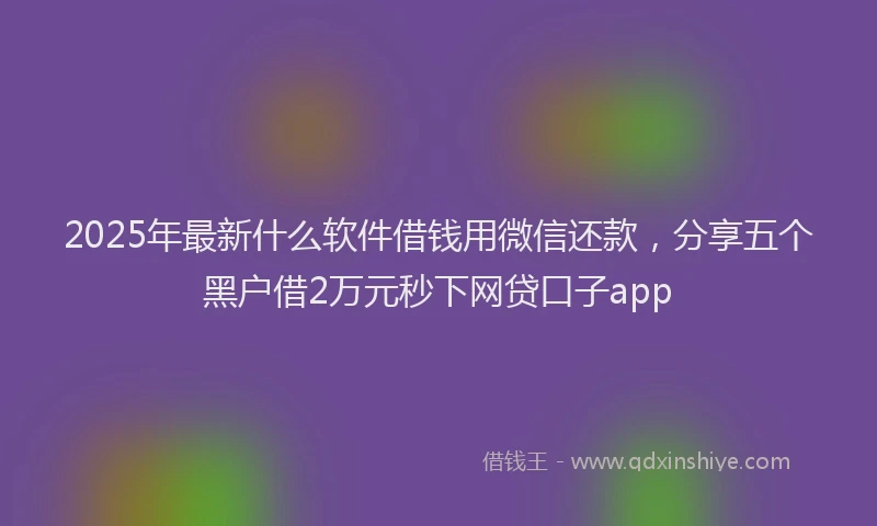 2025年最新什么软件借钱用微信还款，分享五个黑户借2万元秒下网贷口子app