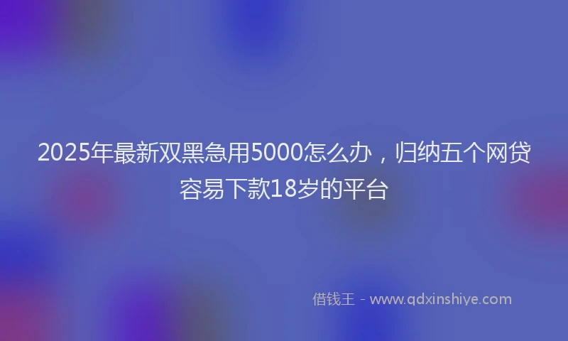 2025年最新双黑急用5000怎么办，归纳五个网贷容易下款18岁的平台