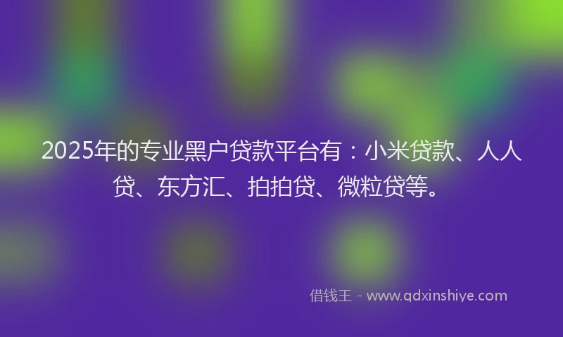 2025年的专业黑户贷款平台有：小米贷款、人人贷、东方汇、拍拍贷、微粒贷等。