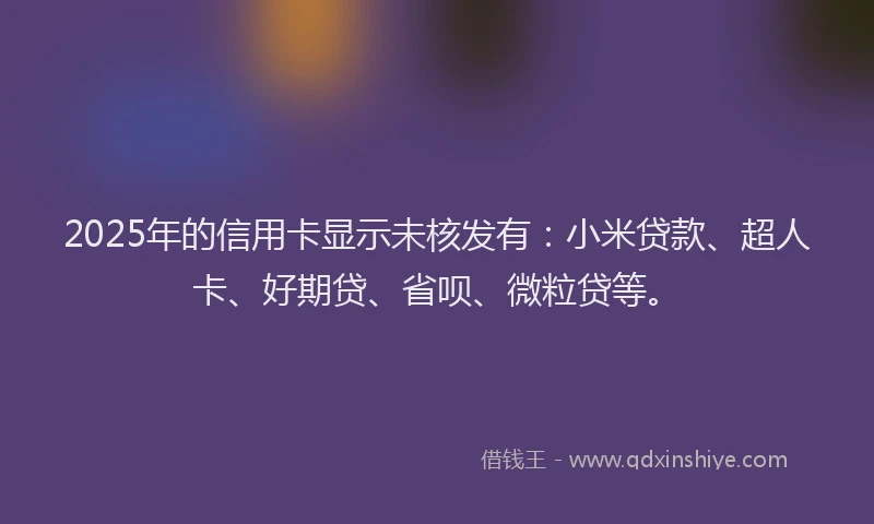 2025年的信用卡显示未核发有：小米贷款、超人卡、好期贷、省呗、微粒贷等。