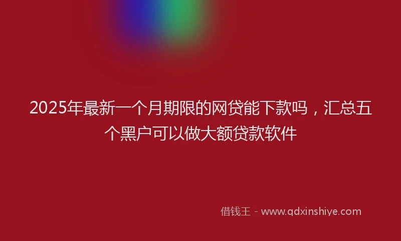 2025年最新一个月期限的网贷能下款吗，汇总五个黑户可以做大额贷款软件