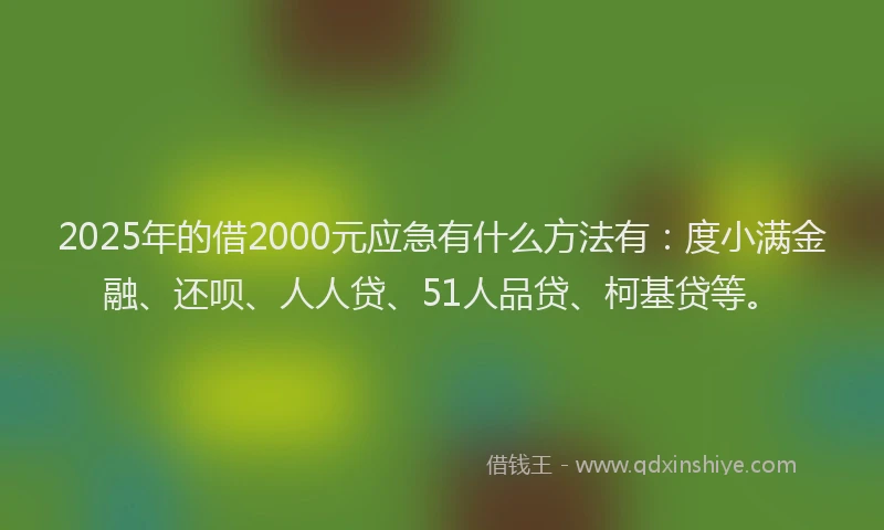 2025年的借2000元应急有什么方法有：度小满金融、还呗、人人贷、51人品贷、柯基贷等。