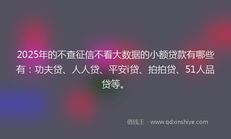2025年的不查征信不看大数据的小额贷款有哪些有：功夫贷、人人贷、平安i贷、拍拍贷、51人品贷等。