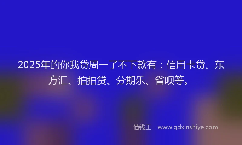 2025年的你我贷周一了不下款有：信用卡贷、东方汇、拍拍贷、分期乐、省呗等。