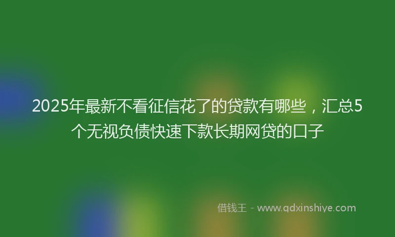 2025年最新不看征信花了的贷款有哪些，汇总5个无视负债快速下款长期网贷的口子