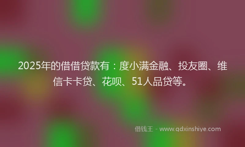 2025年的借借贷款有：度小满金融、投友圈、维信卡卡贷、花呗、51人品贷等。