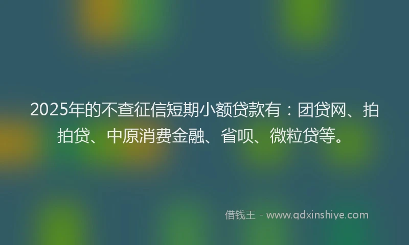 2025年的不查征信短期小额贷款有：团贷网、拍拍贷、中原消费金融、省呗、微粒贷等。