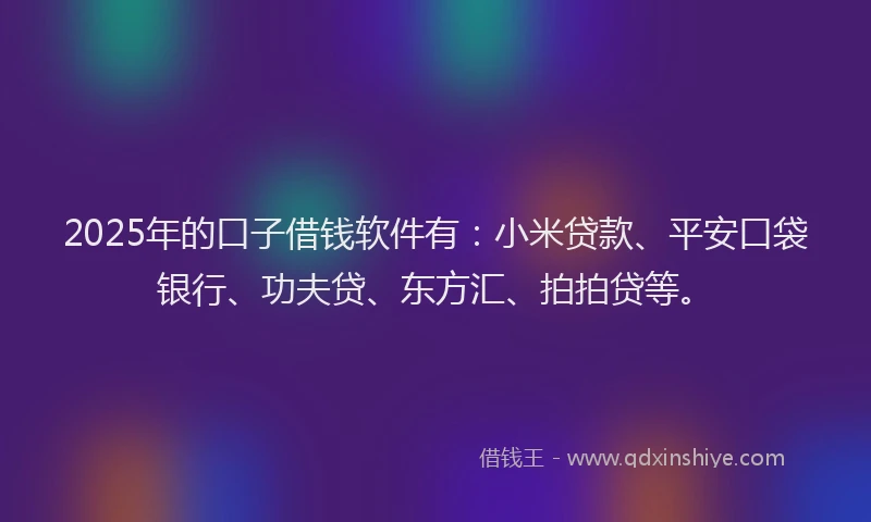 2025年的口子借钱软件有：小米贷款、平安口袋银行、功夫贷、东方汇、拍拍贷等。