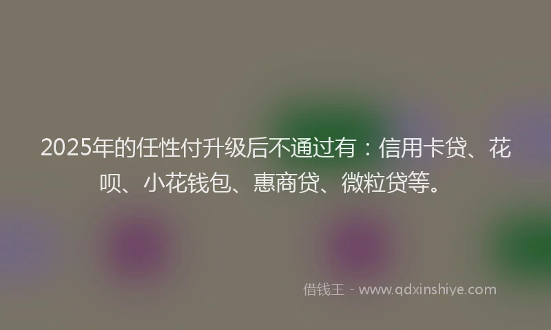 2025年的任性付升级后不通过有：信用卡贷、花呗、小花钱包、惠商贷、微粒贷等。