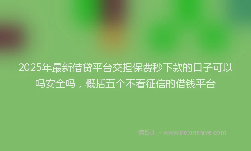 2025年最新借贷平台交担保费秒下款的口子可以吗安全吗，概括五个不看征信的借钱平台