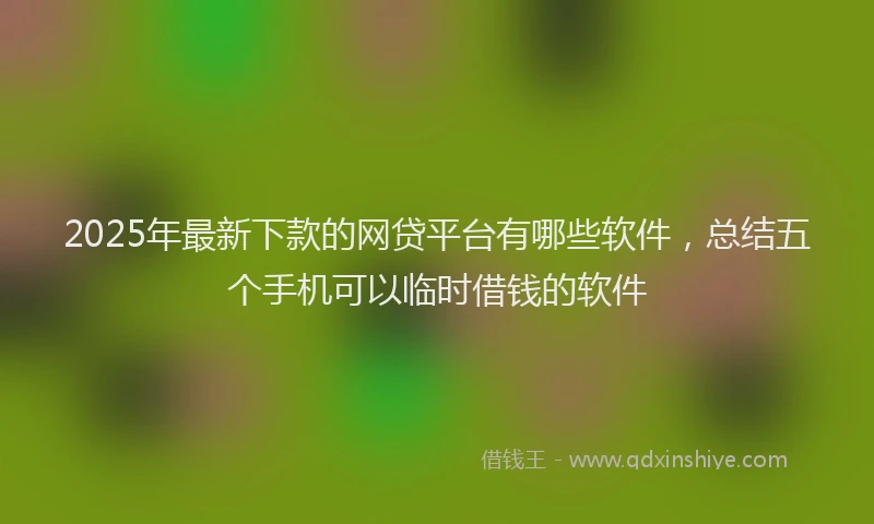 2025年最新下款的网贷平台有哪些软件，总结五个手机可以临时借钱的软件