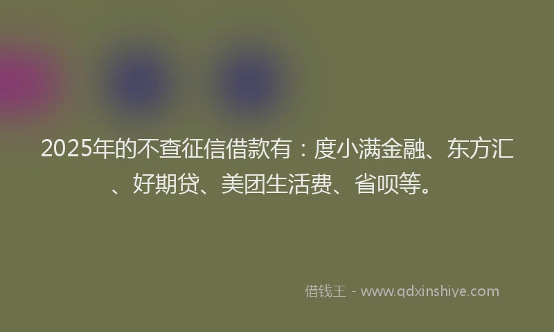 2025年的不查征信借款有：度小满金融、东方汇、好期贷、美团生活费、省呗等。