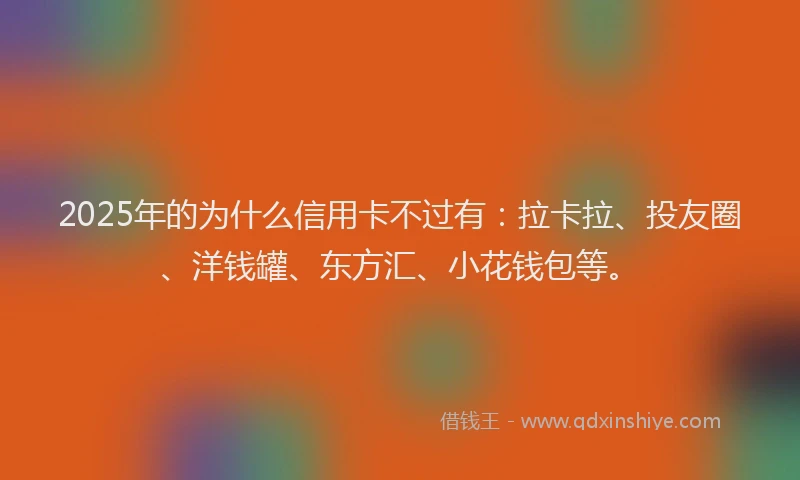 2025年的为什么信用卡不过有：拉卡拉、投友圈、洋钱罐、东方汇、小花钱包等。