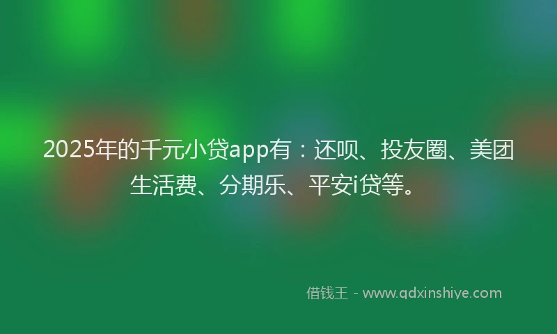 2025年的千元小贷app有：还呗、投友圈、美团生活费、分期乐、平安i贷等。