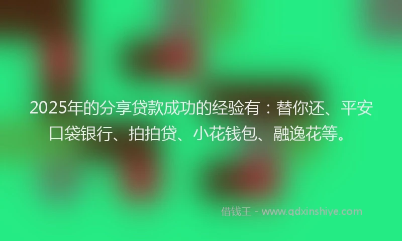 2025年的分享贷款成功的经验有：替你还、平安口袋银行、拍拍贷、小花钱包、融逸花等。