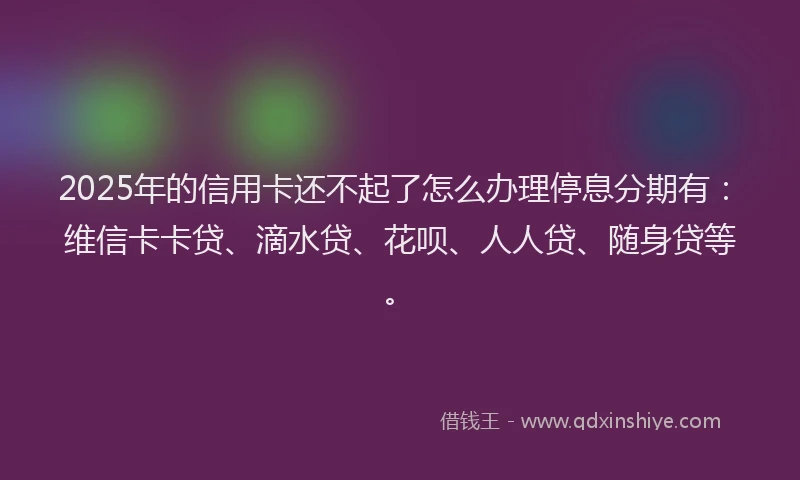 2025年的信用卡还不起了怎么办理停息分期有：维信卡卡贷、滴水贷、花呗、人人贷、随身贷等。