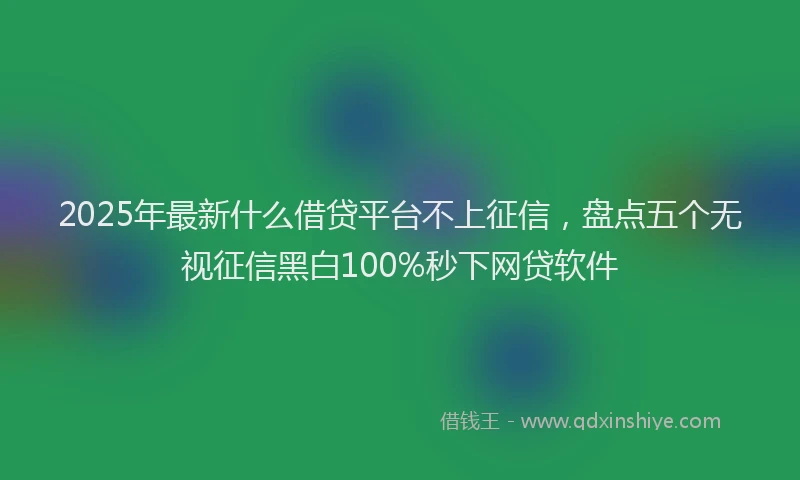 2025年最新什么借贷平台不上征信，盘点五个无视征信黑白100%秒下网贷软件