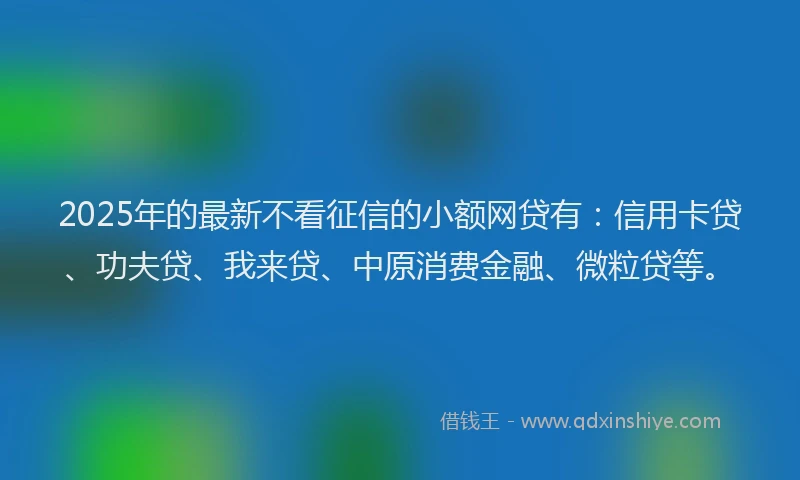 2025年的最新不看征信的小额网贷有：信用卡贷、功夫贷、我来贷、中原消费金融、微粒贷等。