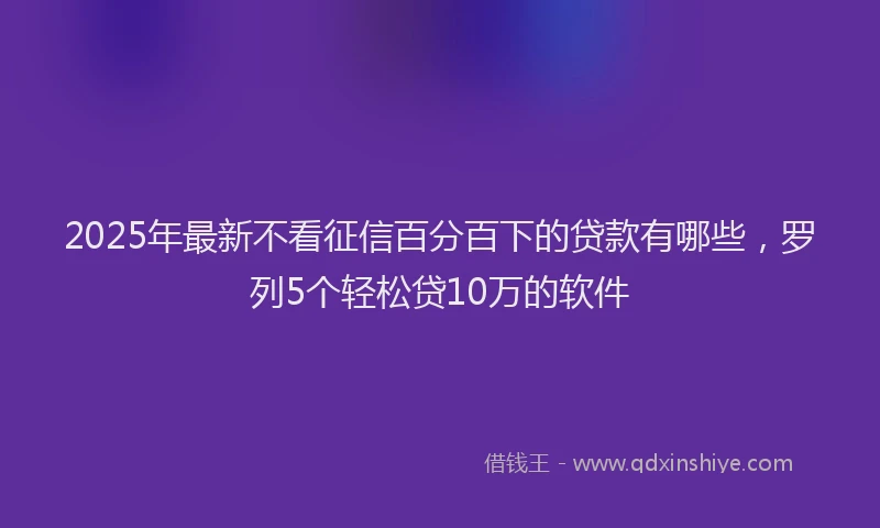 2025年最新不看征信百分百下的贷款有哪些，罗列5个轻松贷10万的软件