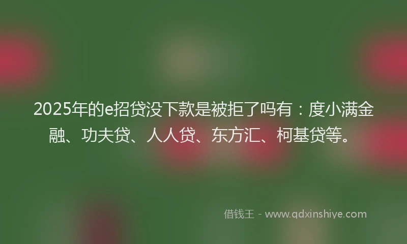 2025年的e招贷没下款是被拒了吗有：度小满金融、功夫贷、人人贷、东方汇、柯基贷等。