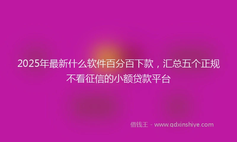2025年最新什么软件百分百下款，汇总五个正规不看征信的小额贷款平台
