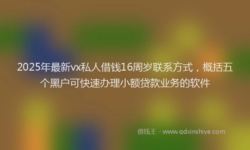 2025年最新vx私人借钱16周岁联系方式，概括五个黑户可快速办理小额贷款业务的软件