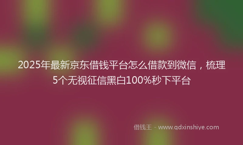 2025年最新京东借钱平台怎么借款到微信，梳理5个无视征信黑白100%秒下平台