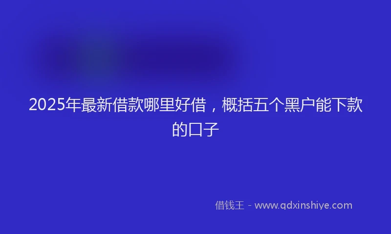 2025年最新借款哪里好借，概括五个黑户能下款的口子