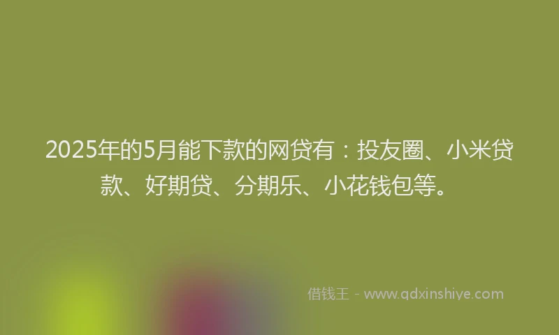 2025年的5月能下款的网贷有：投友圈、小米贷款、好期贷、分期乐、小花钱包等。