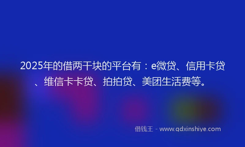 2025年的借两干块的平台有：e微贷、信用卡贷、维信卡卡贷、拍拍贷、美团生活费等。