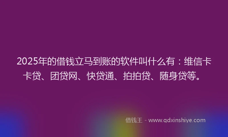 2025年的借钱立马到账的软件叫什么有：维信卡卡贷、团贷网、快贷通、拍拍贷、随身贷等。