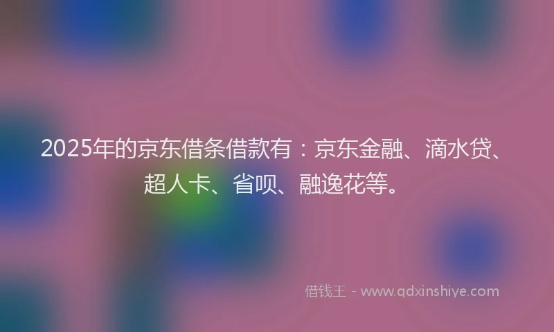 2025年的京东借条借款有：京东金融、滴水贷、超人卡、省呗、融逸花等。
