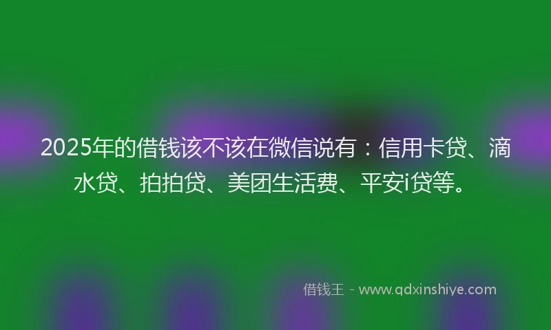 2025年的借钱该不该在微信说有：信用卡贷、滴水贷、拍拍贷、美团生活费、平安i贷等。