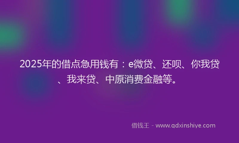 2025年的借点急用钱有：e微贷、还呗、你我贷、我来贷、中原消费金融等。