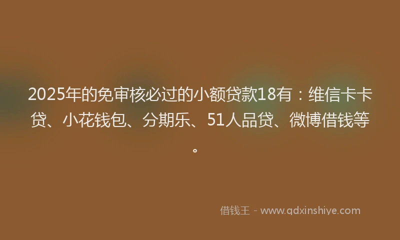 2025年的免审核必过的小额贷款18有：维信卡卡贷、小花钱包、分期乐、51人品贷、微博借钱等。