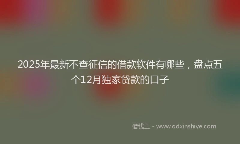 2025年最新不查征信的借款软件有哪些，盘点五个12月独家贷款的口子