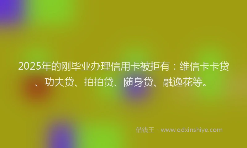 2025年的刚毕业办理信用卡被拒有：维信卡卡贷、功夫贷、拍拍贷、随身贷、融逸花等。