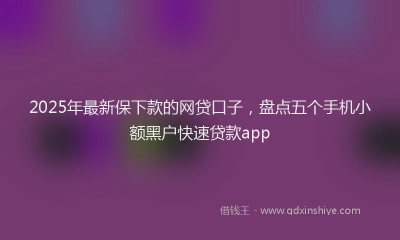 2025年最新保下款的网贷口子，盘点五个手机小额黑户快速贷款app