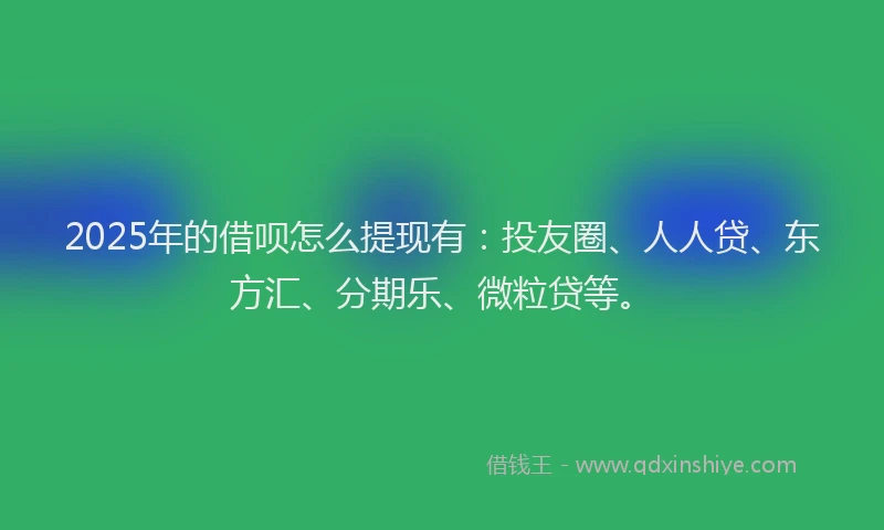 2025年的借呗怎么提现有：投友圈、人人贷、东方汇、分期乐、微粒贷等。