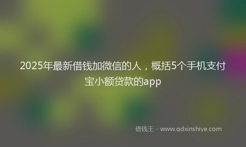 2025年最新借钱加微信的人，概括5个手机支付宝小额贷款的app