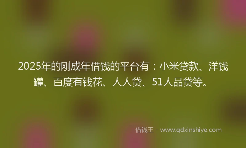 2025年的刚成年借钱的平台有：小米贷款、洋钱罐、百度有钱花、人人贷、51人品贷等。