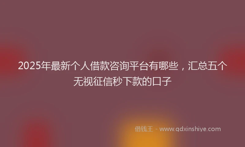 2025年最新个人借款咨询平台有哪些，汇总五个无视征信秒下款的口子