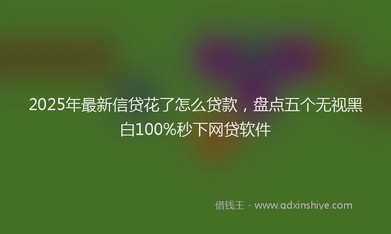 2025年最新信贷花了怎么贷款，盘点五个无视黑白100%秒下网贷软件