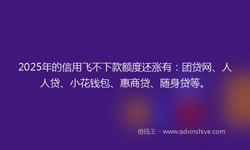 2025年的信用飞不下款额度还涨有：团贷网、人人贷、小花钱包、惠商贷、随身贷等。