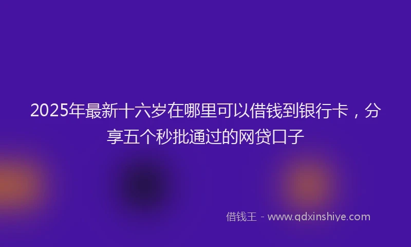 2025年最新十六岁在哪里可以借钱到银行卡，分享五个秒批通过的网贷口子