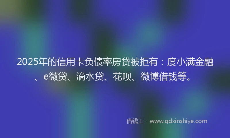 2025年的信用卡负债率房贷被拒有：度小满金融、e微贷、滴水贷、花呗、微博借钱等。