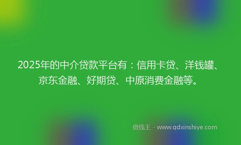 2025年的中介贷款平台有：信用卡贷、洋钱罐、京东金融、好期贷、中原消费金融等。