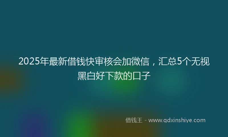 2025年最新借钱快审核会加微信，汇总5个无视黑白好下款的口子