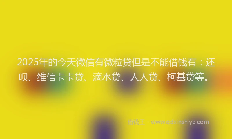 2025年的今天微信有微粒贷但是不能借钱有：还呗、维信卡卡贷、滴水贷、人人贷、柯基贷等。