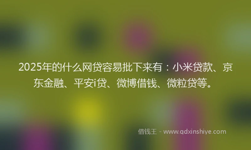 2025年的什么网贷容易批下来有：小米贷款、京东金融、平安i贷、微博借钱、微粒贷等。
